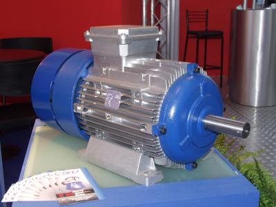 موتور الکتریکی - الکتروموتور کوئل (Coel)